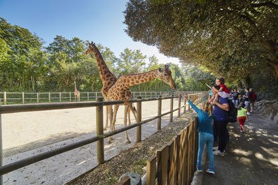 le Zoo des sables D'olonne en Vendée dans le 85